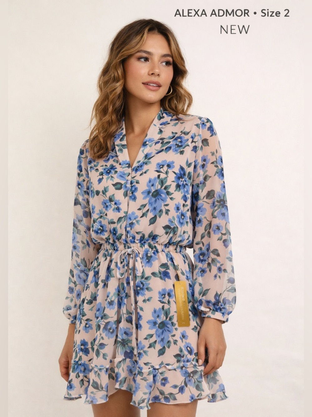 Alexa Admor Floral Mini Dress womens sz 2 Blue Blush romantic Sheer feminine